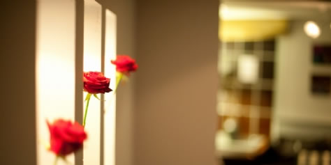 guest reviews