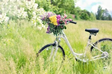 cycling around Kent