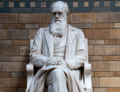Charles Darwin museum