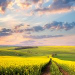 Kent countryside getaways